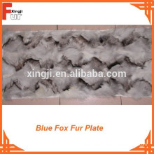 Vorderpfoten-blaue Fox-Pelz-Platte